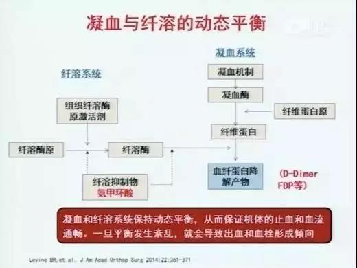 水蛭素，新型冠状病毒。肺炎