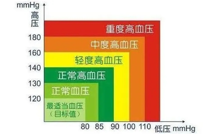 水蛭素、高血压、降压