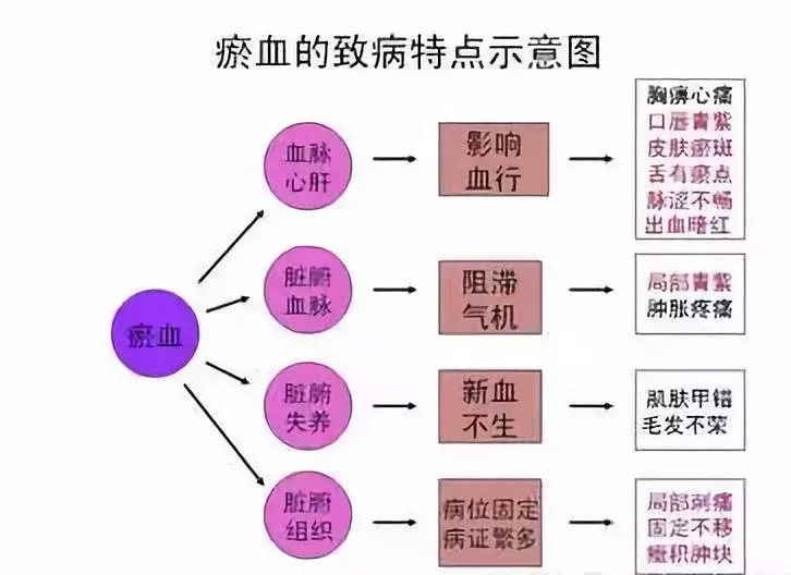 水蛭素、血瘀、血堵