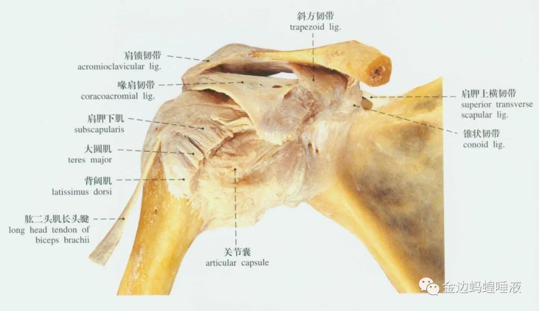 真实案例 | 腕关节囊积液，发炎肿胀，疼痛难忍，真就对它没办法吗？