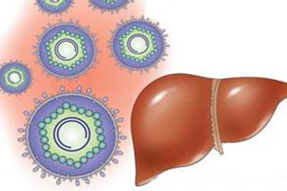 世界护肝日之肝炎种类的科普