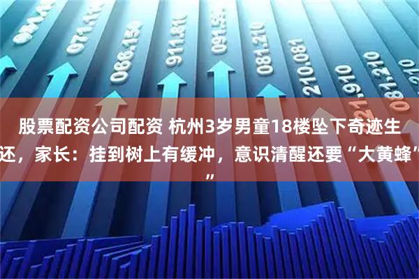 股票配资公司配资 杭州3岁男童18楼坠下奇迹生还，家长：挂到树上有缓冲，意识清醒还要“大黄蜂”